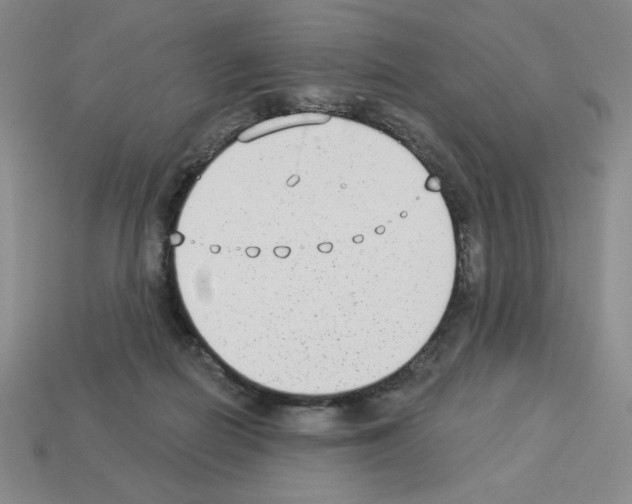 X0000112860266200910021318