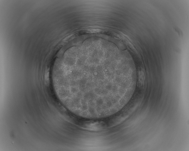 X0000112860267200910021318