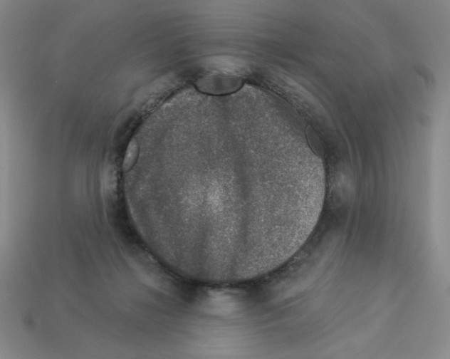 X0000112860268200910021318