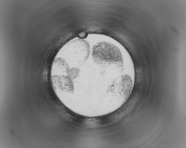 X0000112860269200910021318
