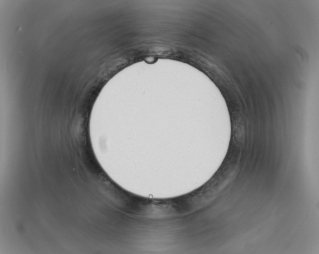 X0000112860270200910021318