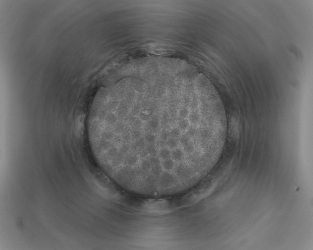 X0000112860271200910021318