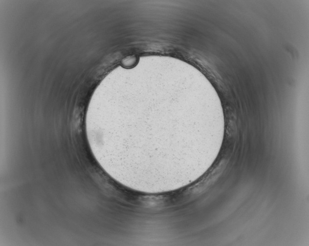 X0000112860273200910021318