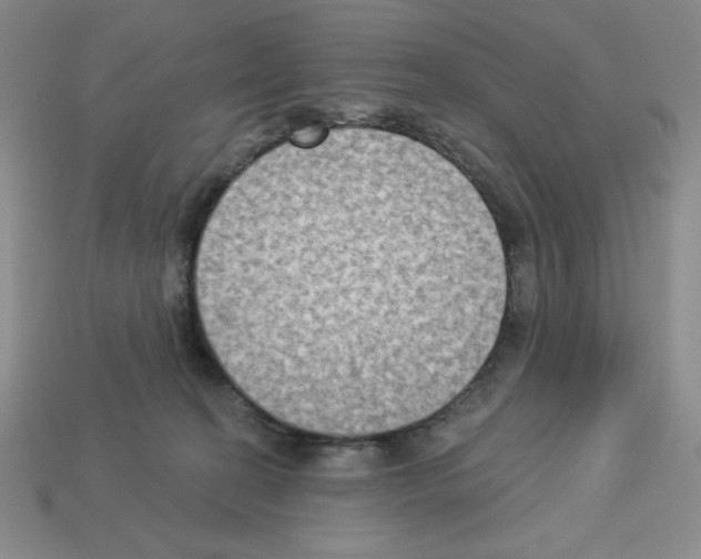 X0000112860274200910021318