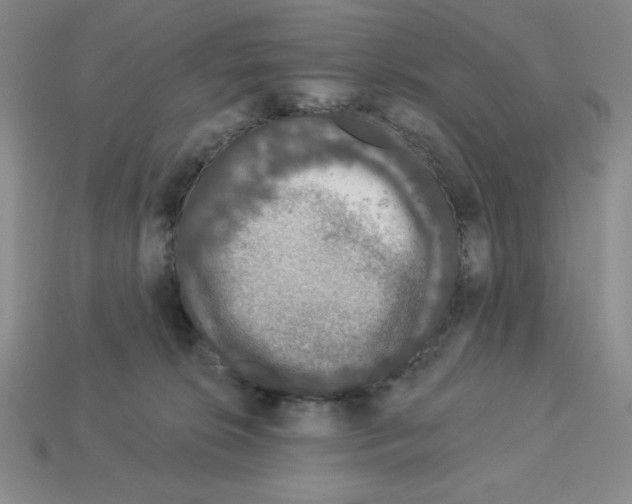 X0000112860276200910021318