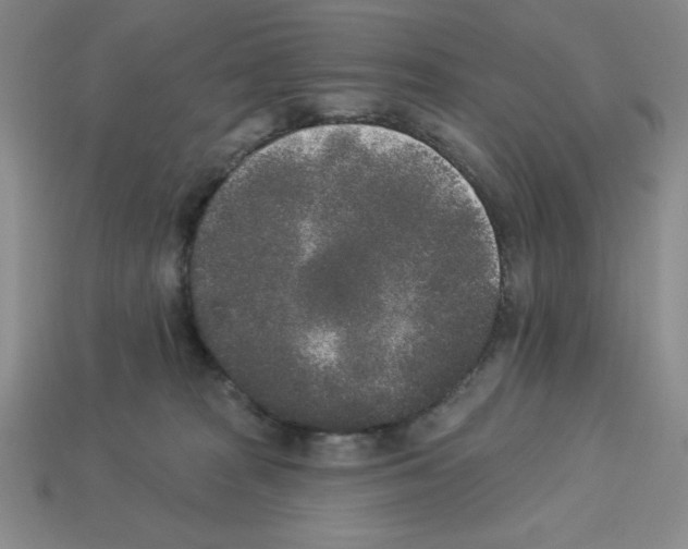 X0000112860277200910021318