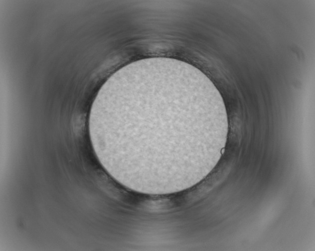 X0000112860278200910021318