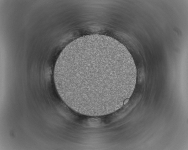 X0000112860279200910021318