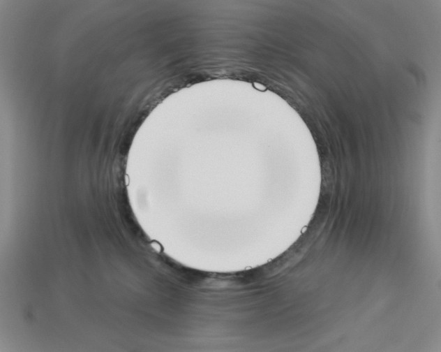 X0000112860280200910021318