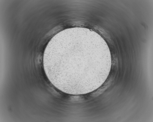 X0000112860281200910021318