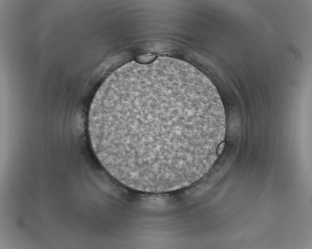 X0000112860282200910021318