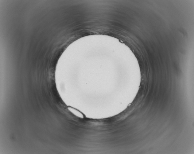 X0000112860284200910021318