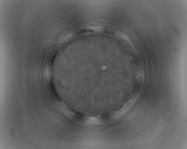 X0000112860285200910021318