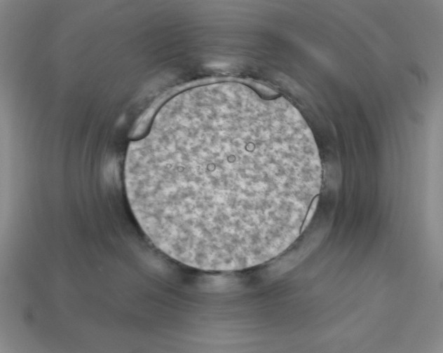 X0000112860286200910021318