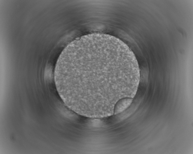 X0000112860287200910021318
