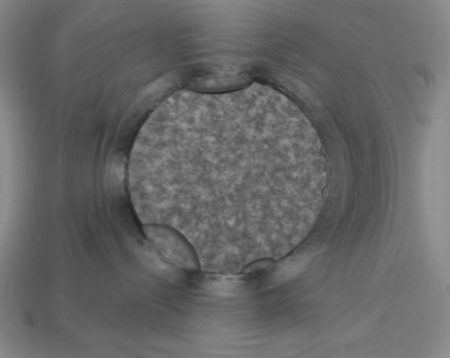 X0000112860288200910021318