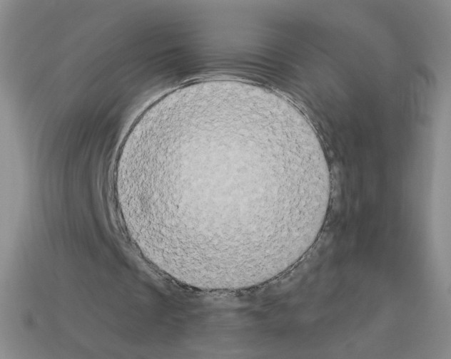 X0000112860289200910021317