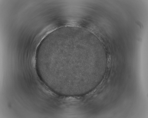 X0000112860290200910021317