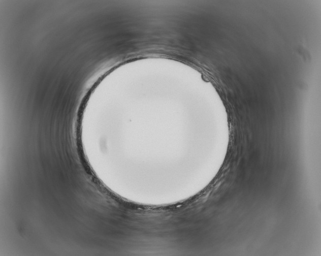X0000112860292200910021317