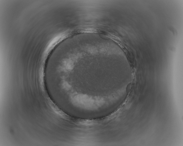 X0000112860293200910021317
