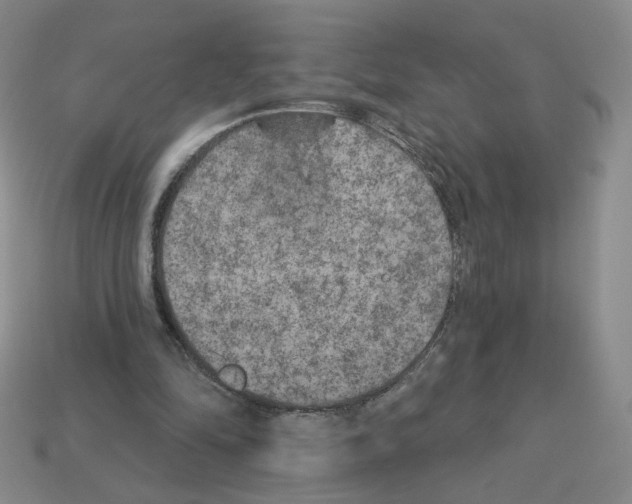 X0000112860294200910021317