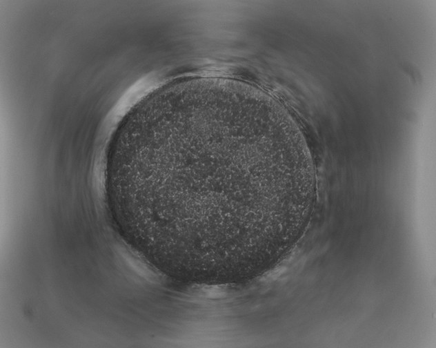 X0000112860295200910021317