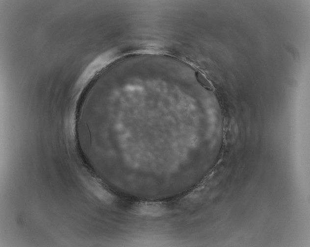 X0000112860296200910021317