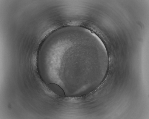 X0000112860297200910021317