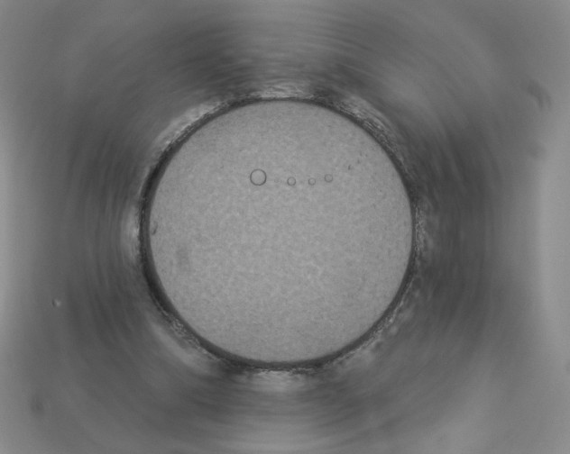 X0000112860298200910021317