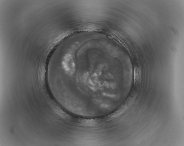 X0000112860301200910021317
