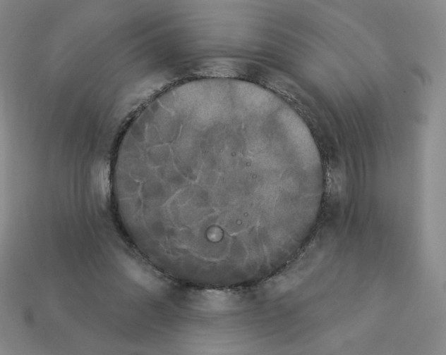 X0000112860302200910021317