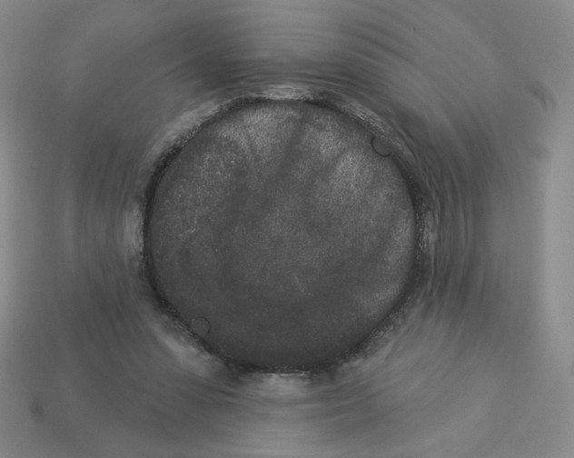 X0000112860303200910021317