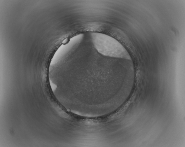 X0000112860305200910021317
