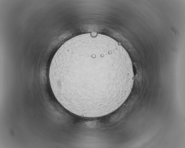 X0000112860306200910021317