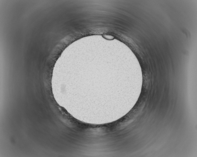 X0000112860307200910021317