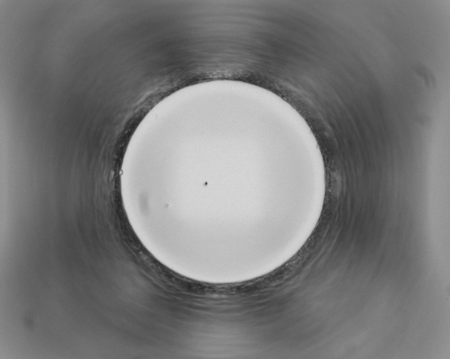 X0000112860308200910021317