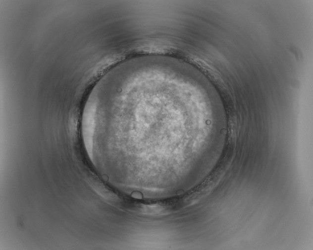 X0000112860309200910021317