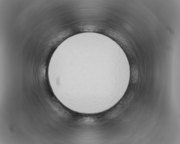 X0000112860310200910021317