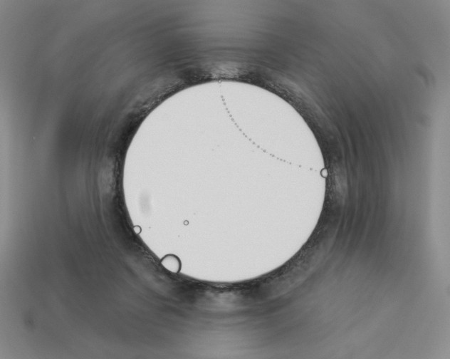 X0000112860311200910021317