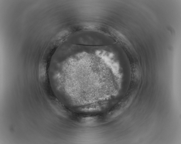 X0000112860312200910021317