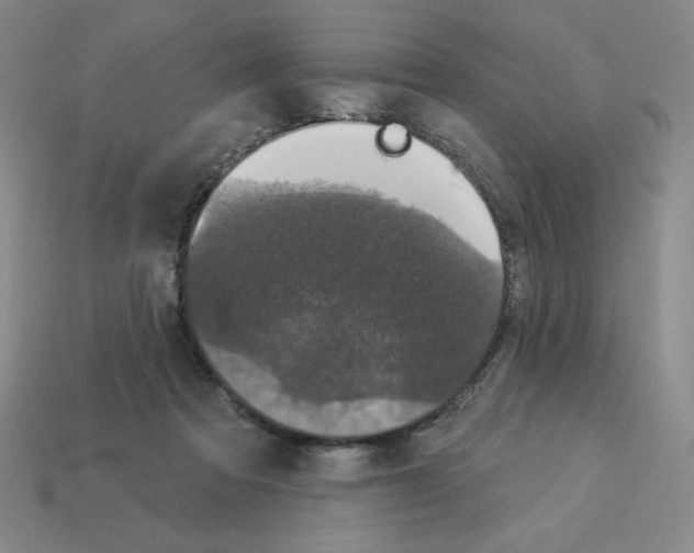 X0000112860313200910021317