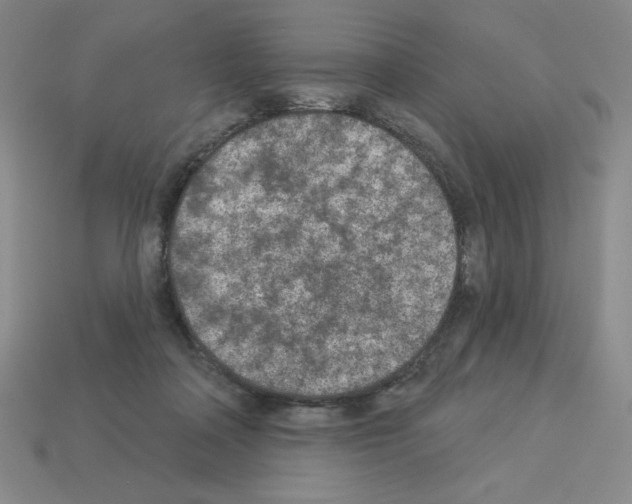 X0000112860314200910021317