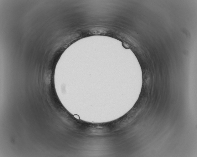X0000112860315200910021317