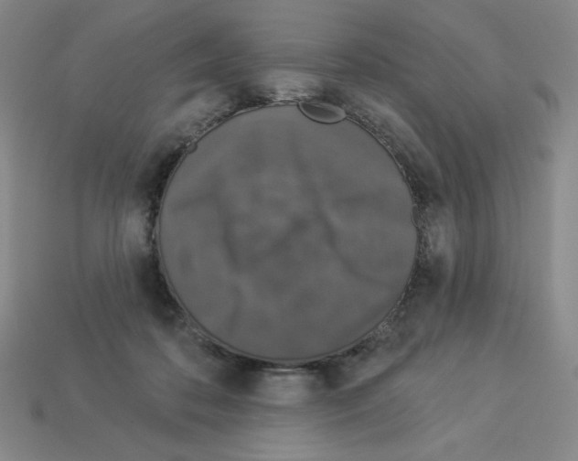 X0000112860316200910021317