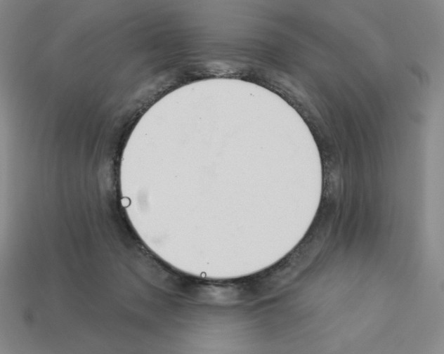 X0000112860317200910021317