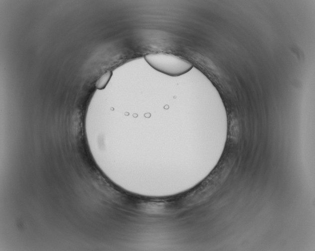 X0000112860318200910021317
