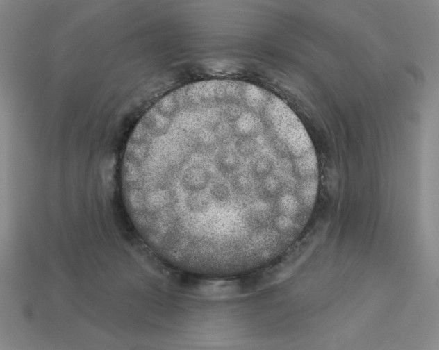 X0000112860319200910021317
