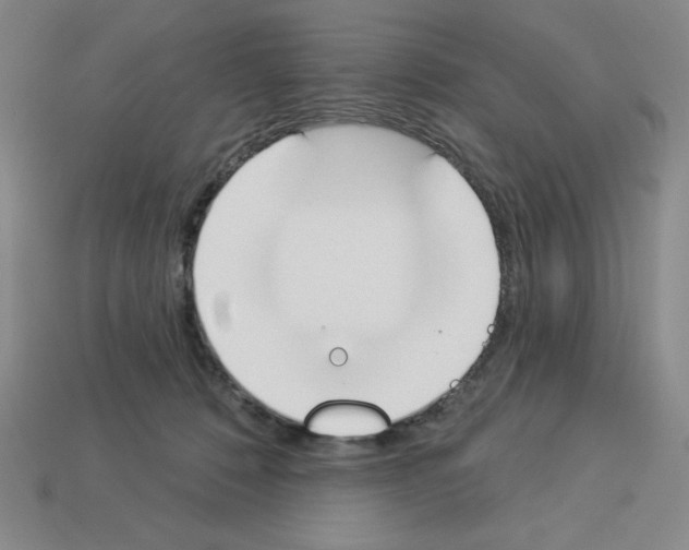 X0000112860320200910021317