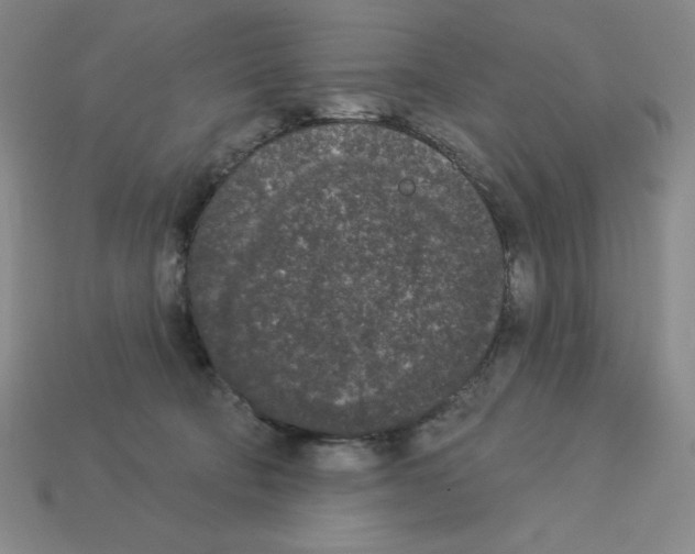 X0000112860322200910021317