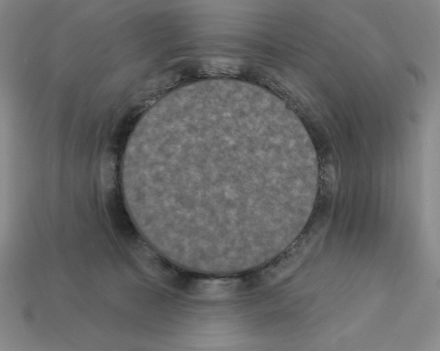 X0000112860323200910021317